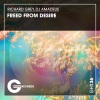 Richard Grey、DJ Amadeus - Freed from Desire (Original Mix)