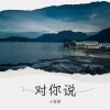 半吨兄弟 - 对你说 (田浩宇变速版)