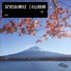 薄情 - 又见山里红