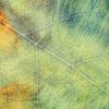 We Dream Of Eden、Christopher Galovan - Reaping in Joy