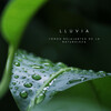 Tiempo de relajación natural、Estudio de sonidos de lluvia、Música de la Naturaleza - Lluvia Descontrolada