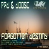 RT、DoosC、Prd - Forgotten Destiny