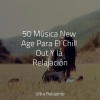 Dormir Mucho、Sons da Natureza & Relaxamento、Música Zen Relaxante - Guijarros en La Playa