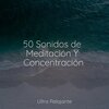 Musica Para Dormir、Música para Niños、Sons da Natureza & Relaxamento - Los Caminos De La Vida