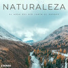 Pajaros del Bosque、Tiempo de relajación natural、Lluvia del Bosque - Naturaleza: El Agua Del Río Junto Al Bosque - 2 Horas