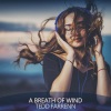 Tedd Farrenn - A Breath of Wind (Ted Farrenn's Controlled Mix)
