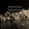 Studying Music、Sleep Music Bliss、Spa Relaxation - Fire: Gentle Wind Sound Soothing Relaxation Vol. 1 - 2 Hours
