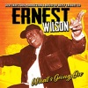 Ernest Wilson《What's Going On》[MP3/LRC]