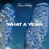 Fame Holiday - What A Year
