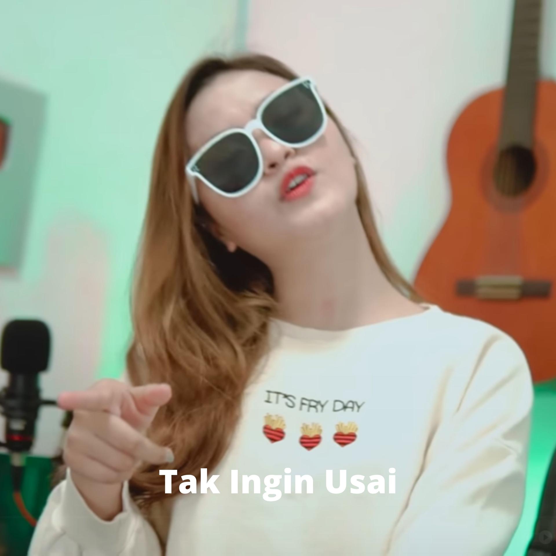 Dj Imut - Tak Ingin Usai