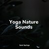 Powerthoughts Meditation Club、Sleep Songs with Nature Sounds、Internal Yoga - White Noise Rain Umbrella