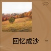 阿D - 回忆成沙
