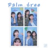 새벽공방 (SBGB) - Palm tree