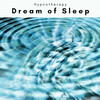 Hypnotherapy - Brown Islands and Unique REM