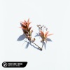 Honeyfox、Lost.、Pop Mage、Khalid、Joel Little、Talay Riley - Young Dumb & Broke (Acoustic)