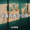 DJ何友《拿着青春陪你赌 (DJ何友 remix)》[MP3/LRC]