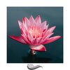 Relax Music Therapy - Pink Song
