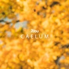 Tobu《Caelum》[MP3/LRC]