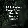 Lluvia PQ、Pro Sound Effects Library、meditacou musica ambiente - Rain, Urban, Lightning, Concrete
