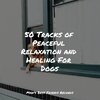 Music for Pets Library、Music for Leaving Dogs Home Alone、Music for Dog's Ears - Starting Today