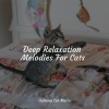 Music For Cats、Cat Music Experience、Cats Music Zone - Welness and Mindfulness