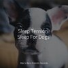 Music for Dog's Ear、Music for Pets Library、Music for Leaving Dogs Home Alone - Starting Today