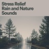 Rain Sounds、Nature Sounds、Piano《Allowing Rain》[MP3/LRC]