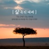 韩国群星 - 값비싼 향유를
