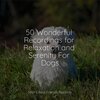 Music for Leaving Dogs Home Alone、Music for Dog's Ears、Relaxing Music for Dogs - Starting Today