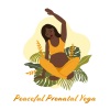 Pregnant Women Music Company - Gentle Prenatal Music