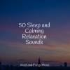 Yoga Workout Music、Deep Sleep Music Experience、Meditation Zen - Sustainability