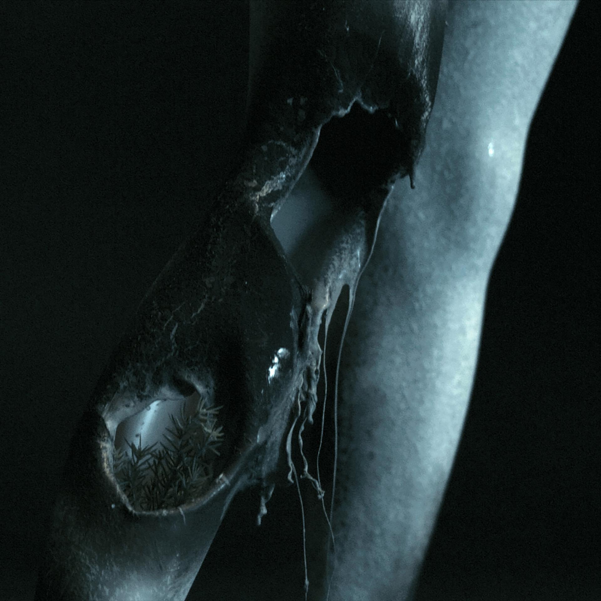 Ivy Lab、Jonathan Fogel、Govind Kidao - Balaclava