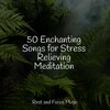 Mindfulness Mediation World、Binaural Beats Brainwave Entrainment、Life Sounds Nature - Evergreen Whispers