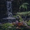 Baby Sleep Music、Reiki Music、Mindfulness Mediation World - Beautiful Ballads