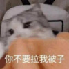 喵卟咻 - 莫妮卡