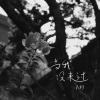 万豹 - 当我没来过