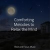 Yoga Workout Music、Baby Sleep、The White Noise Zen & Meditation Sound Lab - Quiescent Breeze