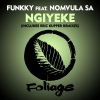 Funkky、Eric Kupper、Nomvula SA《Ngiyeke (Eric Kupper Remix)》[MP3/LRC]