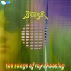 Zorznijor - Introduction of Choice