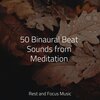 Deep Sleep Relaxation、White Noise Sound Garden、Mindfulness Mediation World - Fairness