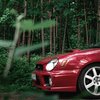 Lost In The Wave - Strawberry Subaru