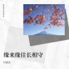 CNLY - 相逢在雨中