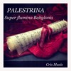Sistine Chapel Choir - Super flumina Babylonis