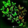 Emilz、Emil Filip Zieleśkiewicz - Fly Effect