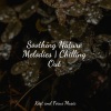 Yoga Workout Music、Binaural Beats Isochronic Tones Lab、Deep Sleep Systems - Lunar Shadows