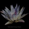 Easy Sleep Music、Study Power、Mindfulness Mediation World - Summertime Clouds