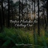 Asian Zen: Spa Music Meditation、Musica Relaxante、Ruído branco - Early Spring Chill