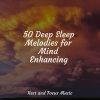 Meditation Music Club、Meditação Yoga、Study Zone - Everlasting Forest
