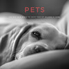 Music for Leaving Dogs Home Alone、Natural White Noise Relaxation、Rainy Day Music - Sleepy Dogs