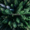 Forest Lullaby、Relaxation Zone - Lying on Pillows and Dreaming